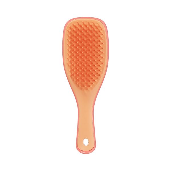 Tangle Teezer - The Ultimate Detangler Mini Salmon Pink Aprico